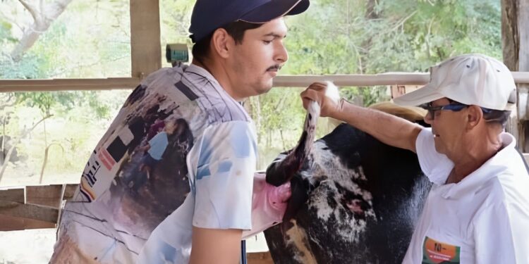 Sistema Faemg Senar oferece capacitações gratuitas a partir desta segunda ( 30/09 )