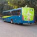 Gratuidade do transporte público durante as eleições