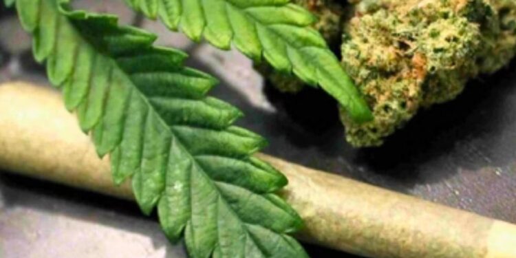 Candidato a vereador é detido por suspeita de troca de votos por maconha em MG