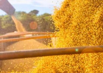 PIB do agronegócio em MG cresce quase 6% em 2023 e soma R$ 228,6 bilhões