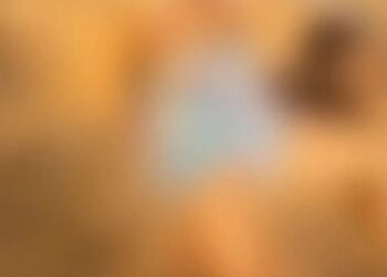 Corpo de Mulher é Encontrado em Loteamento em Governador Valadares