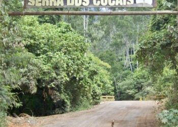 Corpo seminu e queimado é encontrado na Serra dos Cocais, em Fabriciano MG