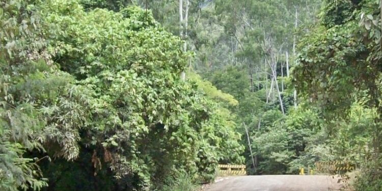 Corpo seminu e queimado é encontrado na Serra dos Cocais, em Fabriciano MG