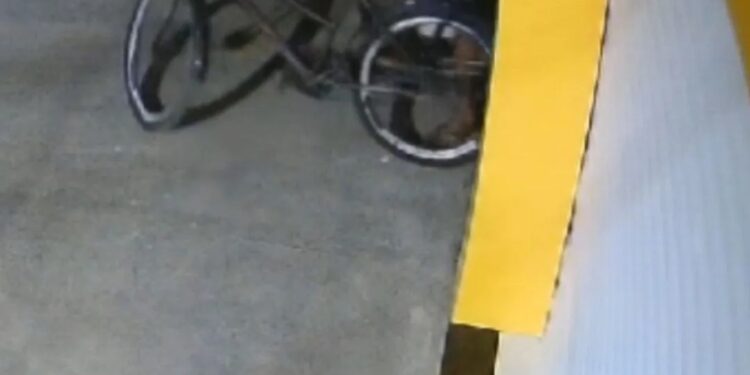 Sorveteria é alvo de furto em Governador Valadares