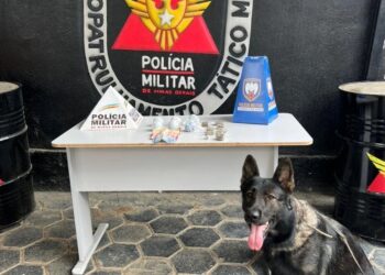 Operação Divisa Segura intensifica combate à criminalidade em Mantena e Itabirinha