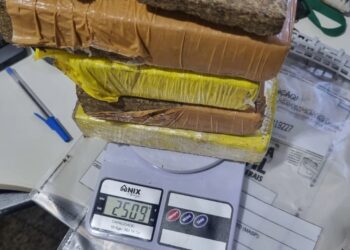 PM apreende drogas em caixa de papelão e dois são presos em Mendes Pimentel MG