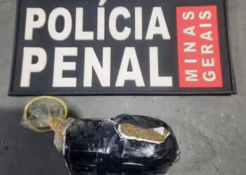 Mulher esconde tablete de maconha nas partes íntimas e é detida ao tentar entrar em presídio