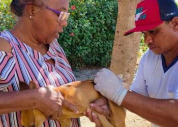 Vacinação contra a raiva está sendo feita na zona rural de Valadares