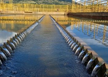 Abastecimento de água será suspenso em Valadares neste domingo ( 27/10 )