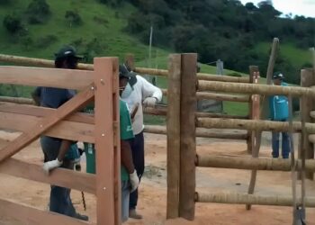 Sistema Faemg Senar oferece capacitações gratuitas a partir desta segunda ( 28/10 )