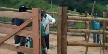 Sistema Faemg Senar oferece capacitações gratuitas a partir desta segunda ( 28/10 )