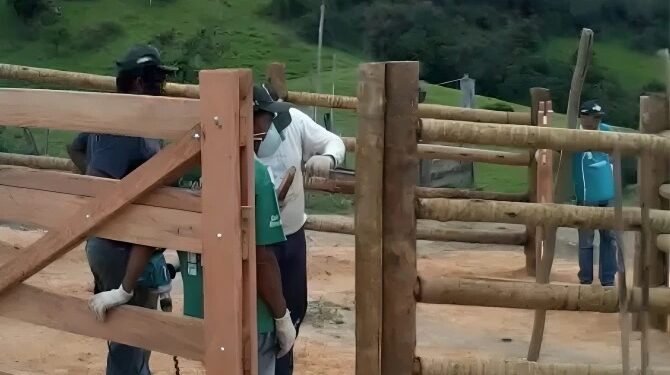 Sistema Faemg Senar oferece capacitações gratuitas a partir desta segunda ( 28/10 )