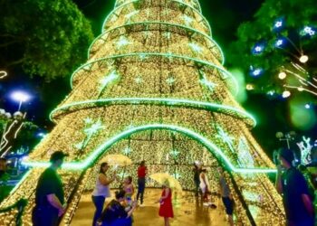 Natal Iluminado 2024 abre inscrições para artistas em Valadares