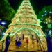 Natal Iluminado 2024 abre inscrições para artistas em Valadares