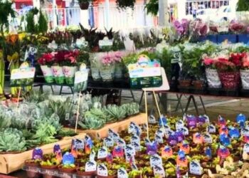 18ª Festa das Flores acontece de 4 a 14 de julho, em Valadares.