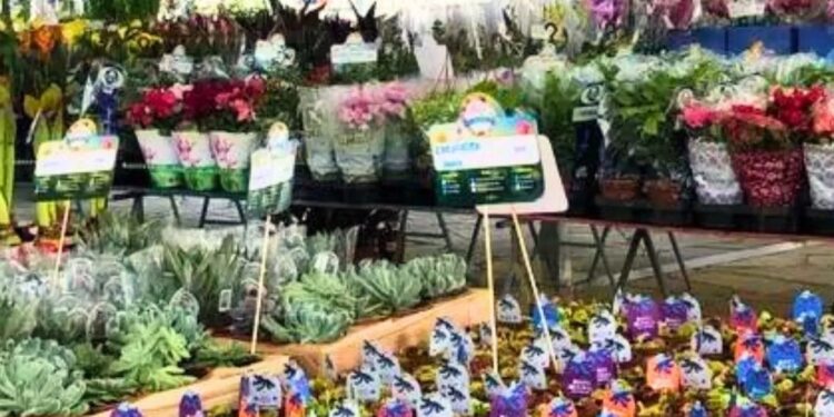 18ª Festa das Flores acontece de 4 a 14 de julho, em Valadares.