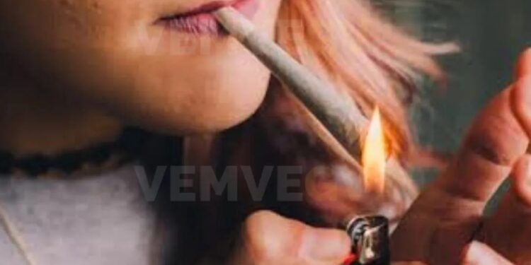 STF estabelece em 40g quantidade de maconha para diferenciar usuários e traficantes