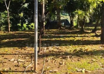 Morador em situação de rua furta energia na Ilha dos Araújos, em Valadares