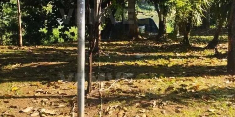 Morador em situação de rua furta energia na Ilha dos Araújos, em Valadares