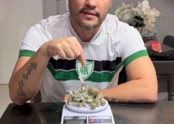 Maconha no STF: Senador Cleitinho não tragou essa ideia.