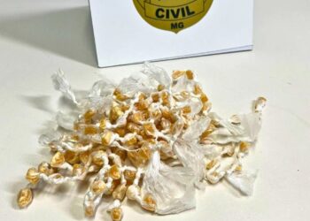 Polícia Civil cumpre mandados de busca e apreensão e prende suspeitos de tráfico de drogas em Itanhomi