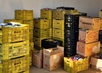 Expoagro 2024 distribui mais de 30 toneladas de alimentos