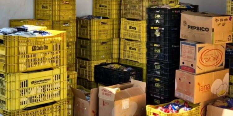Expoagro 2024 distribui mais de 30 toneladas de alimentos