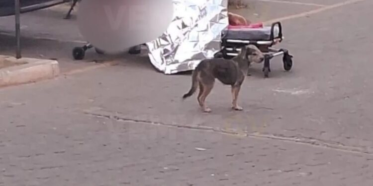 Mulher grávida incendeia namorado em Governador Valadares