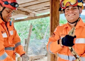 Jiboia é capturada em galinheiro no Santa Rita, em GV