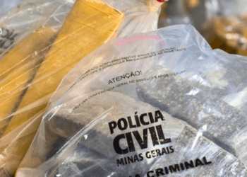 4 toneladas de drogas são destruídas em Ipatinga MG