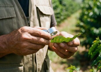 Senar Minas amplia catálogo com dois novos treinamentos
