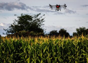 Senar Play bate recorde de matrículas e acessos em Minas Gerais