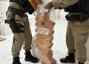 23 barras de maconha são apreendidas na BR-259 em Valadares