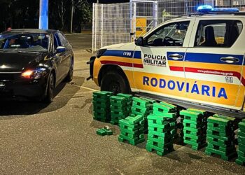 PM apreende 175 barras de maconha na BR-259, em Valadares