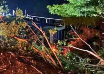 Motorista de ônibus morre em grave acidente na BR-259, em Galiléia MG