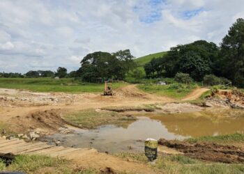 Chuvas na Zona da Mata: produtores de Ubá contabilizam os prejuízos