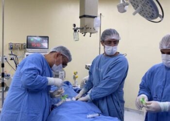 UFU faz primeiro transplante alogênico