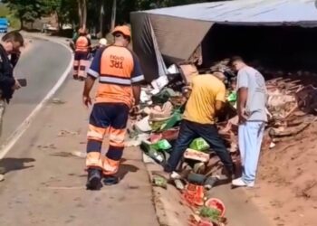 Caminhão carregado com hortifruti tomba na BR-381, em Periquito MG