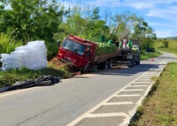 Motociclista morre em acidente na BR-259, em Valadares