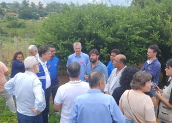 O potencial da vitivinicultura de inverno em MG