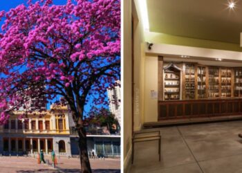 Feira da Estação realiza edição especial de Dia das Mães no SESI Museu de Artes e Ofícios