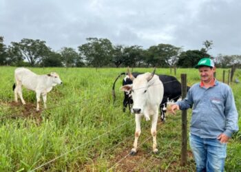 Agro + Verde recupera 3.300 hectares no oeste de Minas Gerais