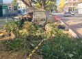 Motorista morre em acidente em Governador Valadares