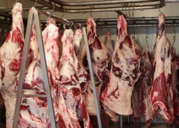 EUA isentam carne bovina, frango e café do Brasil de novo tarifaço