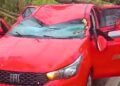 Árvore cai sobre carro durante chuva, em Frei Inocêncio