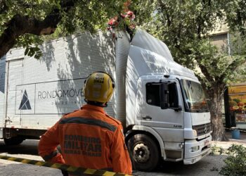 Caminhão de móveis fica preso em árvore e interdita rua no Centro de Valadares