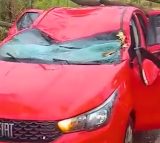 Árvore cai sobre carro durante chuva, em Frei Inocêncio