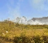 Lotes vagos em Valadares