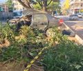 Motorista morre em acidente em Governador Valadares